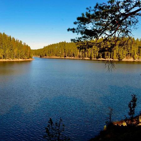 Lake And Forest Hideaway Βίλα Årjäng Εξωτερικό φωτογραφία