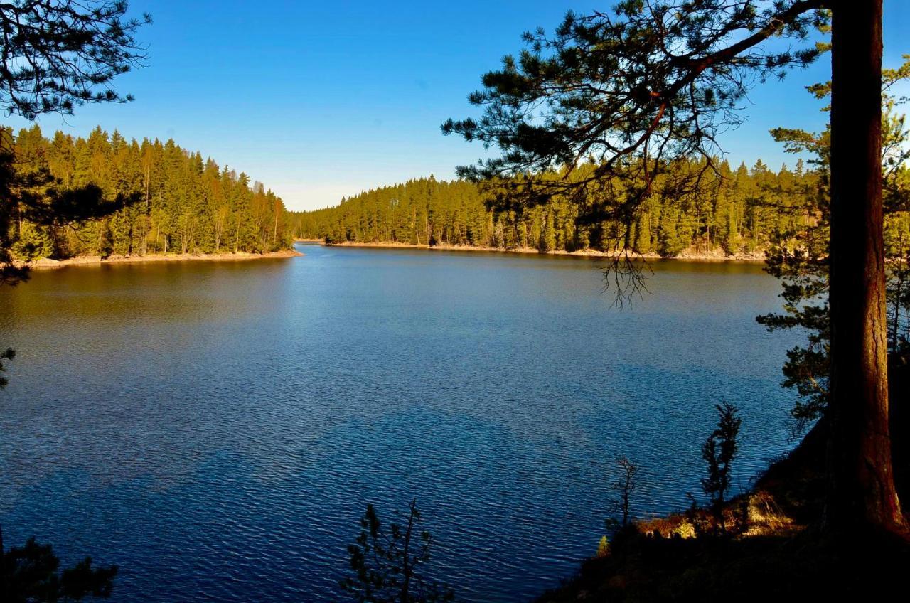 Lake And Forest Hideaway Βίλα Årjäng Εξωτερικό φωτογραφία